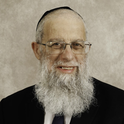 Rabbi Y Prijs